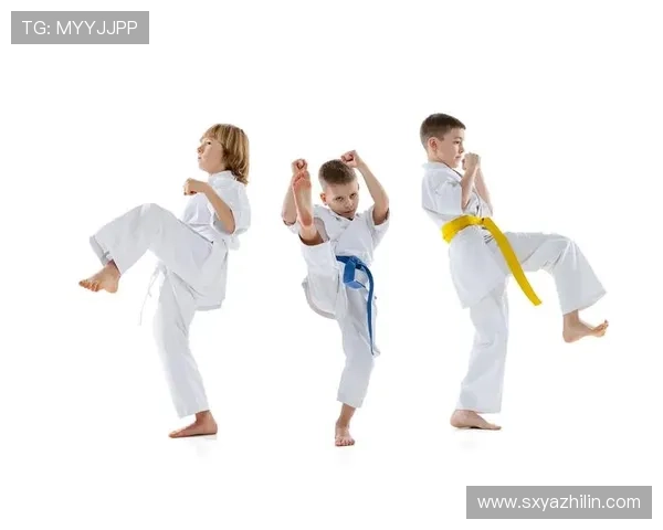 全面提升体能与技能的跆拳道训练计划指导方案 全面提升体能与技能的跆拳道训练计划指导方案