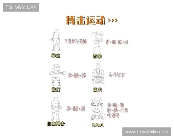 全面解析拳击裁判规则与执裁流程关键要点实用操作指南全面提升篇 全面解析拳击裁判规则与执裁流程关键要点实用操作指南全面提升篇